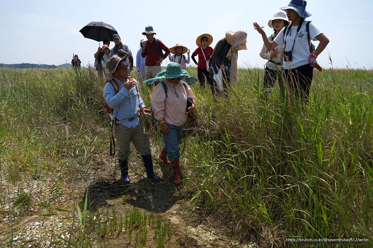 CKB09619' 마른 수로에서.JPG