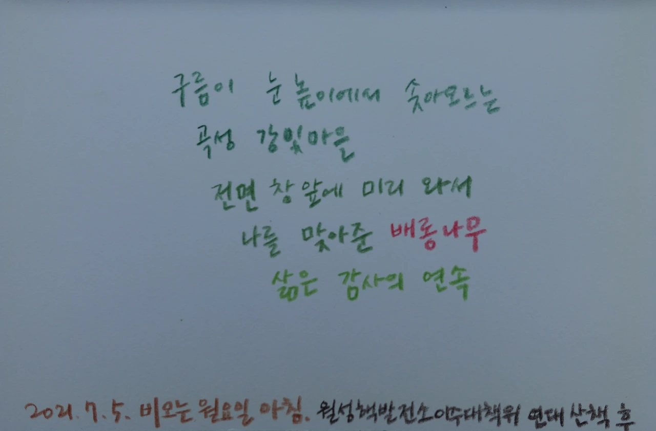 곡성 강빛마을 정원일기 1''.JPG