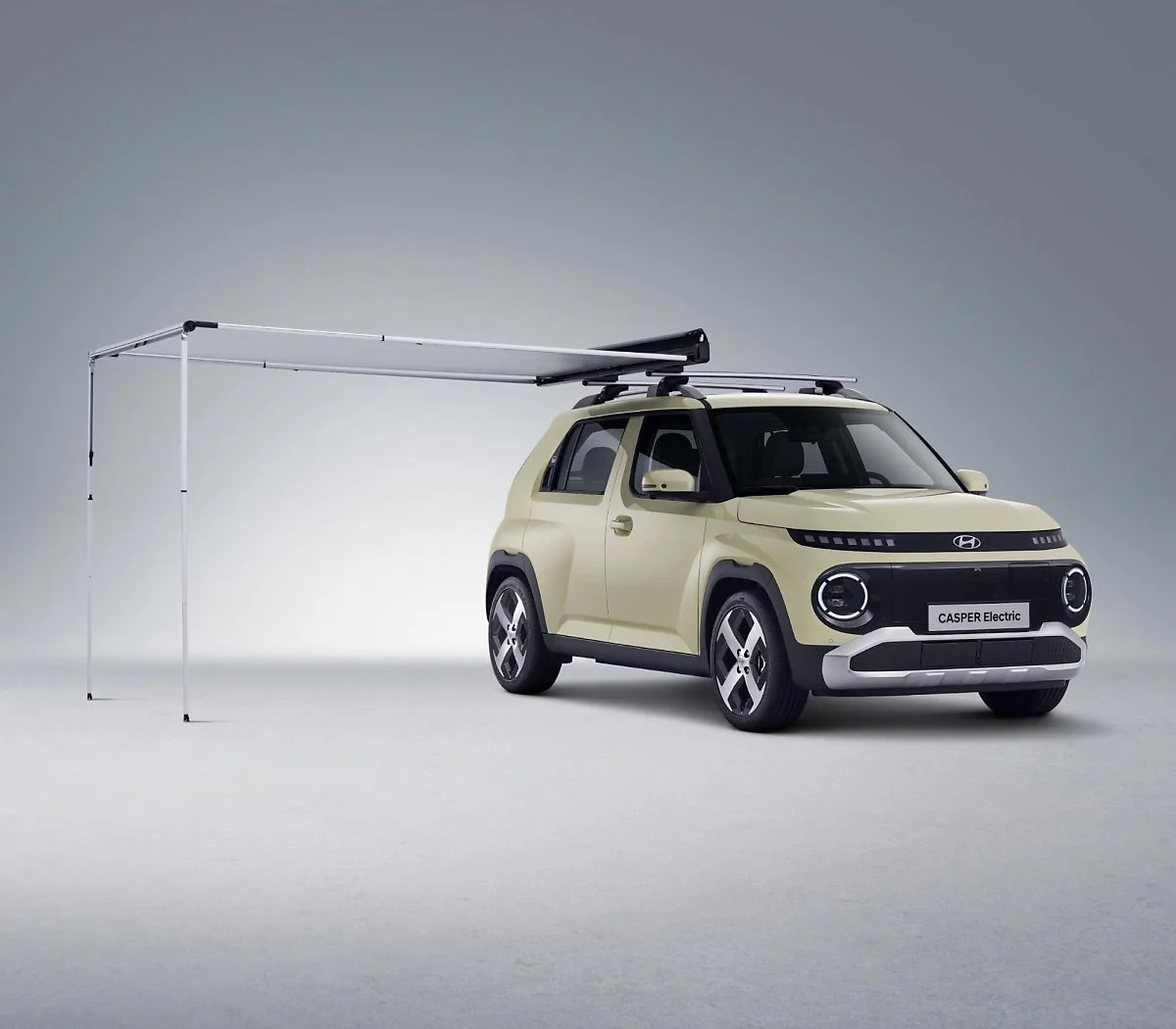 12.jpg?type=w1200&type=w1200