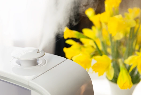 image.png?type=w1600