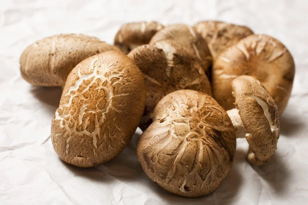 pc003827840_l.jpg?type=w1200