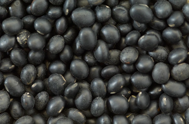 image.png?type=w1600