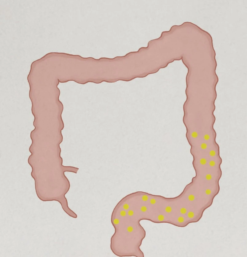 %EA%B2%BD%EB%A0%A8.jpg?type=w1600