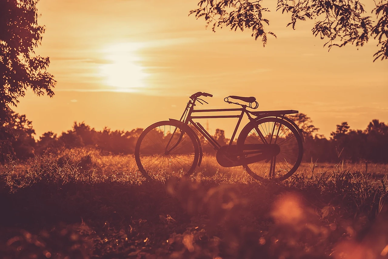 GettyImages-943561580.jpg?type=w1600