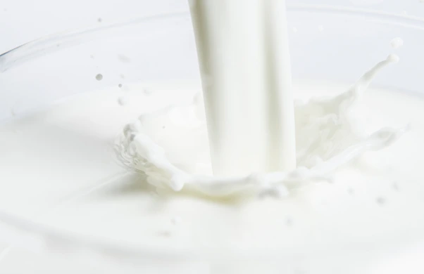 image.png?type=w1600