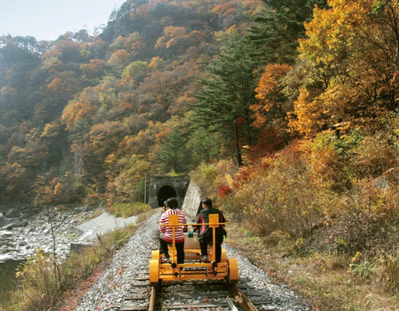 %EC%A0%95%EC%84%A0-%EB%A0%88%EC%9D%BC.png?type=w1600