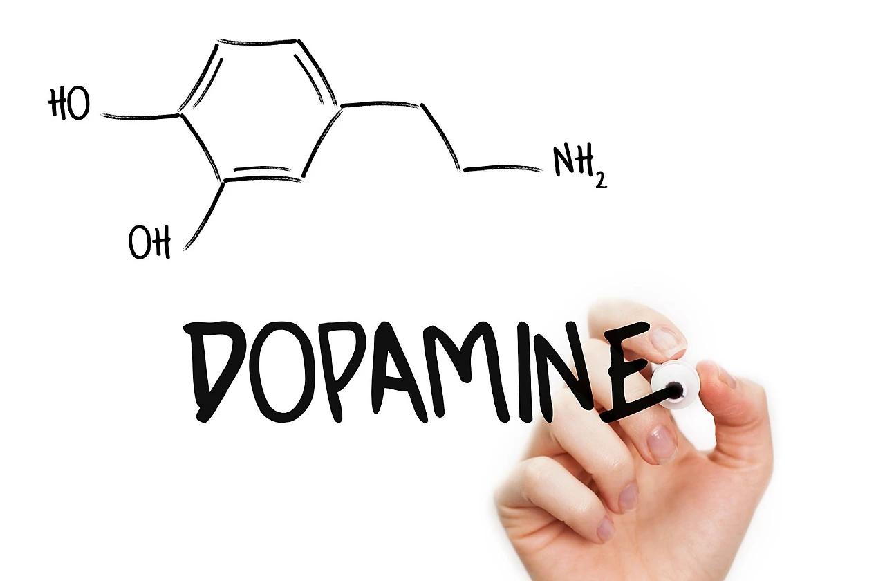 GettyImages-531269057.jpg?type=w1600