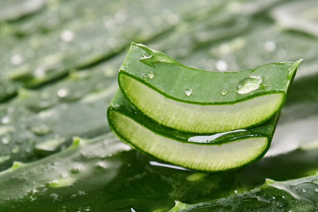 GettyImages-1225942652.jpg?type=w1600