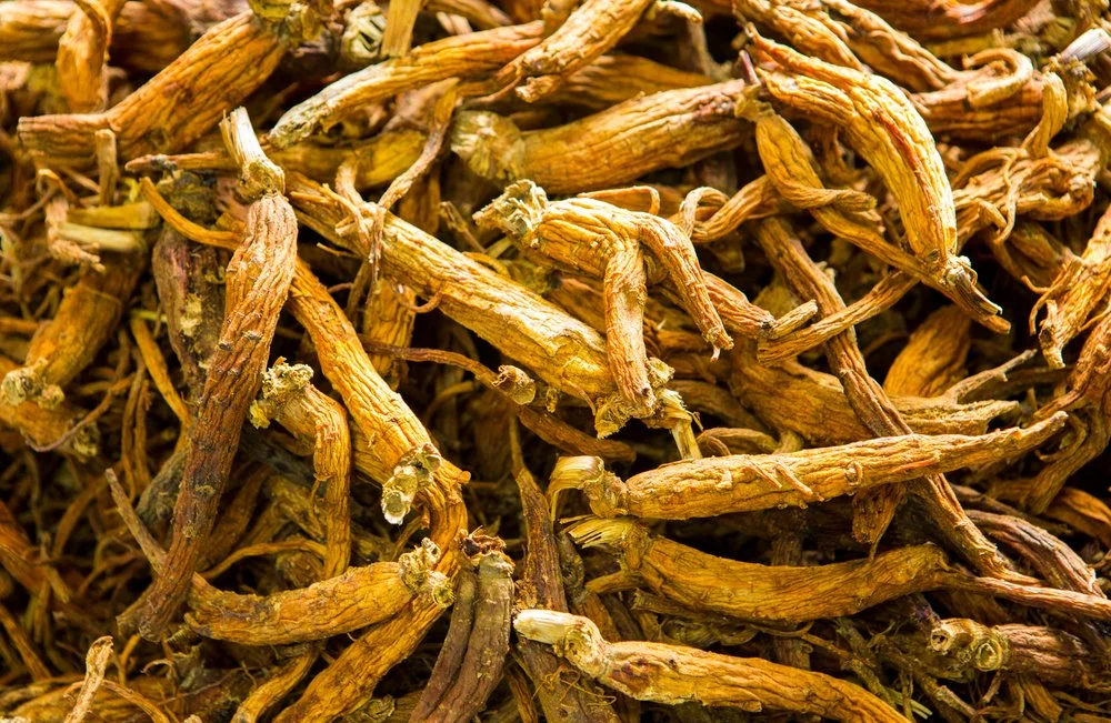 cm26012450_l.jpg?type=w1200