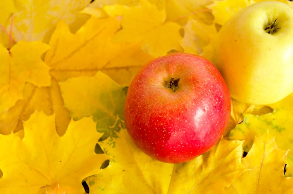 GettyImages-1270142344.jpg?type=w1600