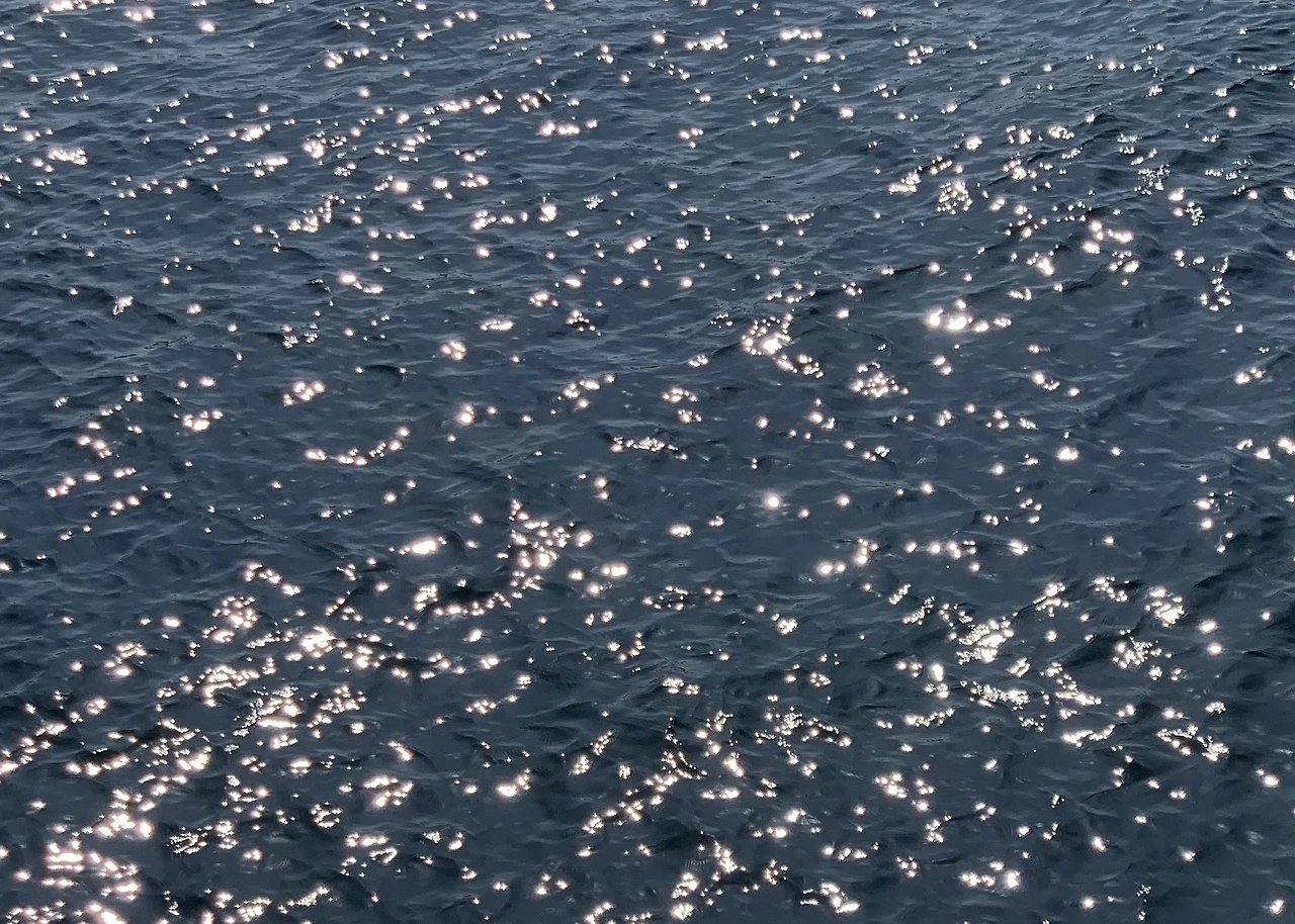 liXUZ6PpRhZb6CUCbj1O_x54D4KoMxwnd0Yh5Qd70i8HVU298kXNVaVoDeRJeWipRHjGBag_AWSvhGSPGYa0=s0-d-e1-ft