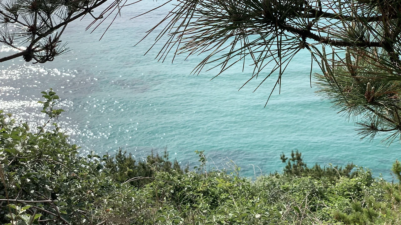 p0vTjI6fuISwgWAmGeuy7z4NqqtkNyBQQ-lNm8DU6hyQRwD-tA93OPa-Q5ltJkmocyaPFZuZ7VwE128bqyXf=s0-d-e1-ft