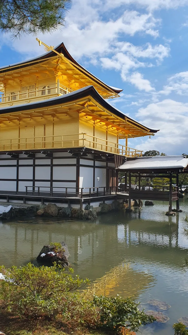 KakaoTalk_20230131_234646578_21.jpg?type=w773