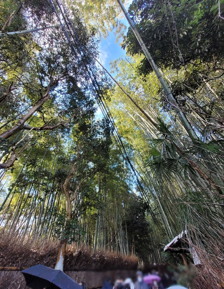 SE-c95fb1e5-8c3e-4a53-a341-5a89e3ee4de2.jpg?type=w773