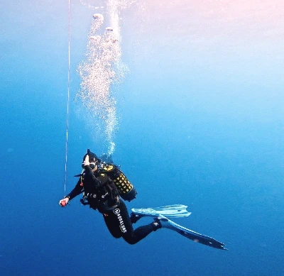 WhatsApp Image 2025-08-27 at 17.14.42.jpeg