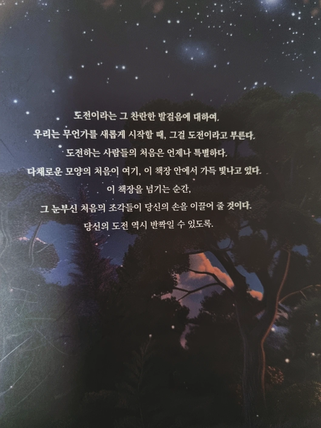 SE-51b4fdca-b692-4024-9e58-8918d9f972a6.png?type=w3840