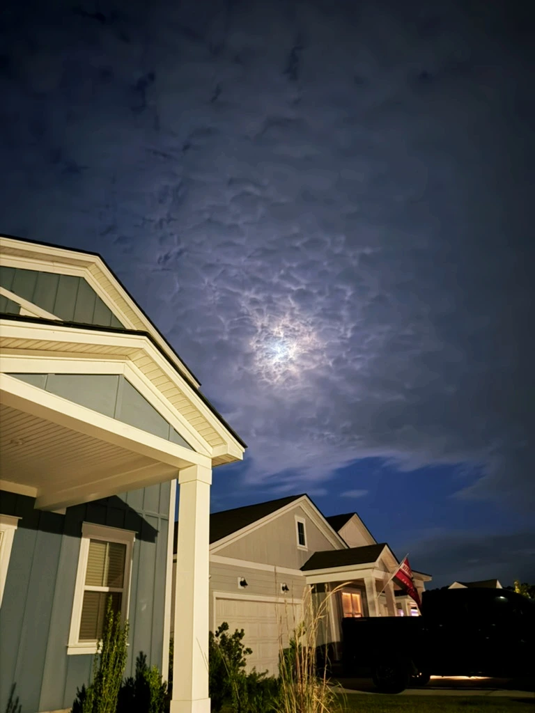 SE-c7e841b8-94ff-4f5d-8635-d755a7cf0f8b.jpg?type=w1