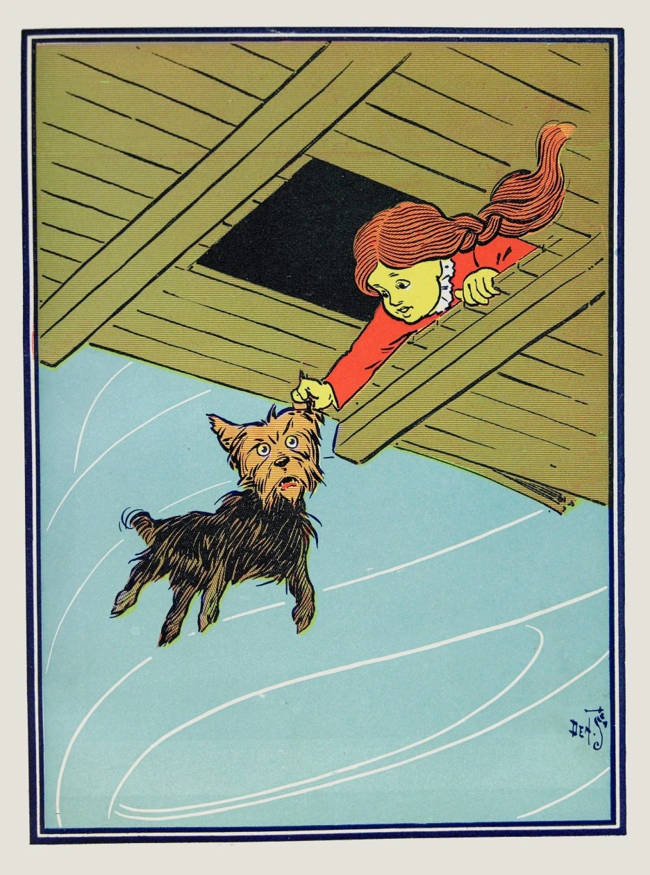 902967ilsdl.jpg?type=w1