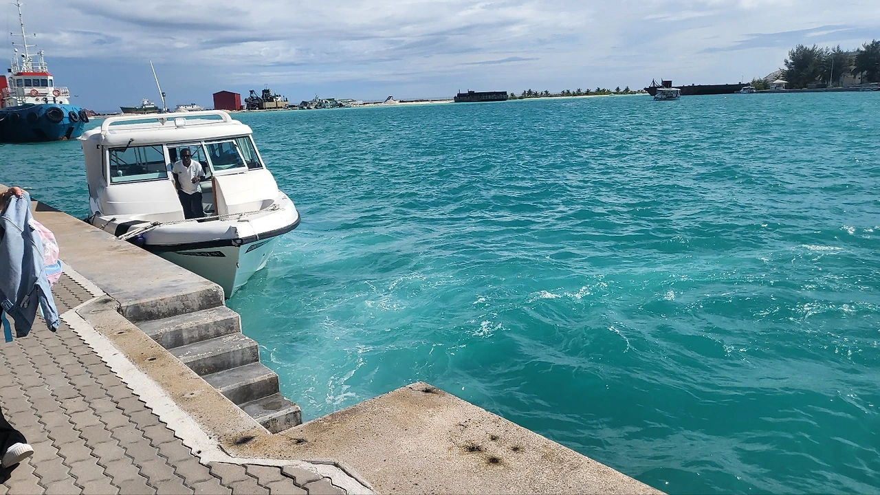 스크린샷 2023-10-30 오후 3.24.03.jpeg