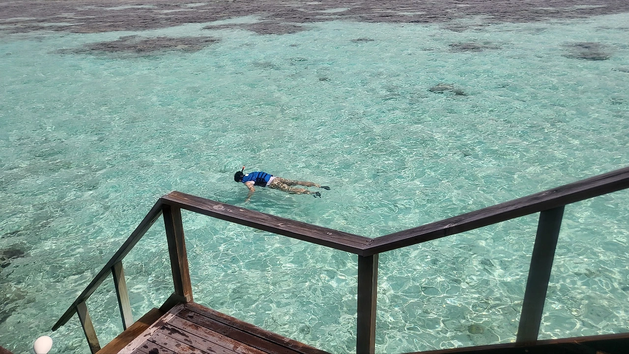 몰디브 2 오빠 스노클링 시도.jpeg