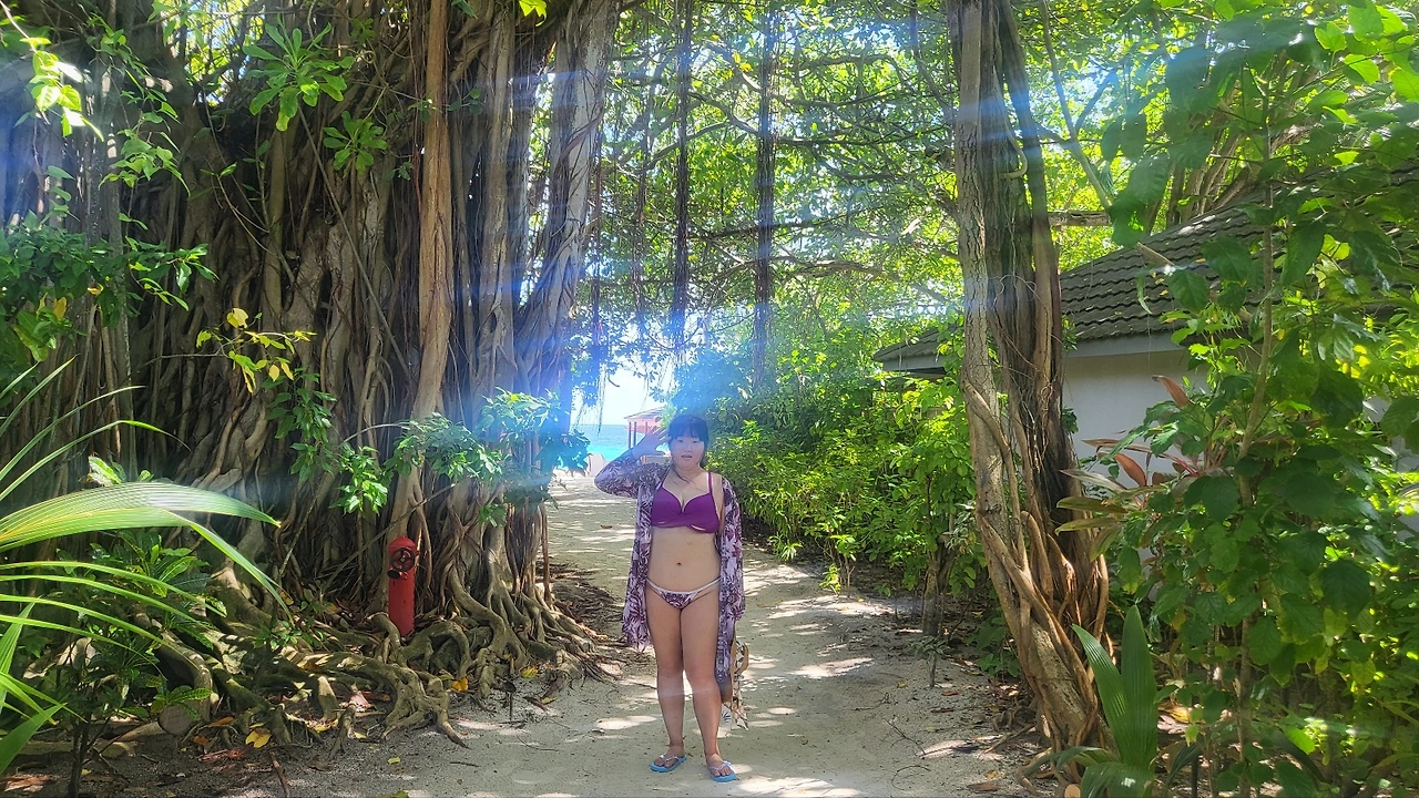 몰디브 2 보라비키니 숲속.jpeg