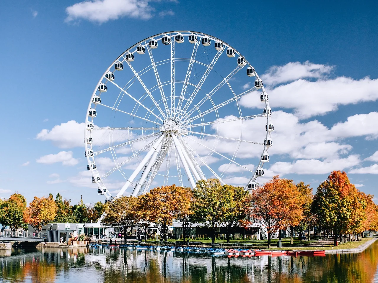 the-bialons-36B-WO8yCMs-unsplash.jpg?format=2500w