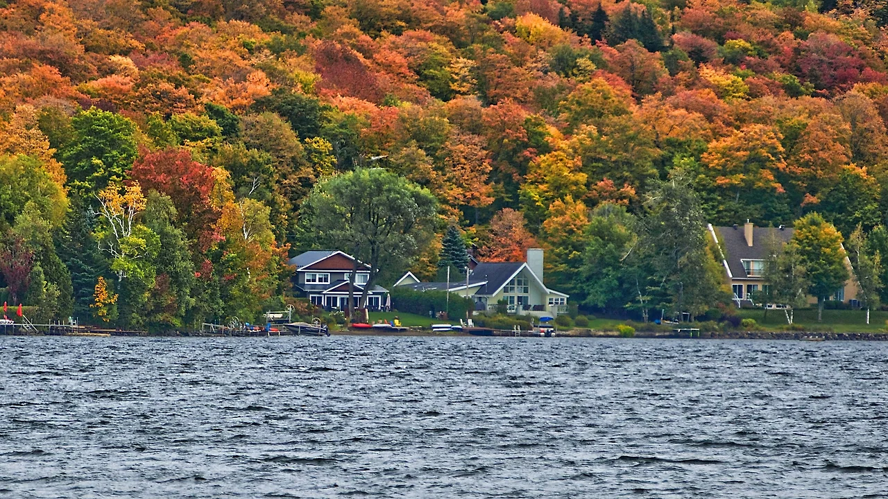 pascal-bernardon-hJZbCOpv4Ew-unsplash.jpg?format=2500w