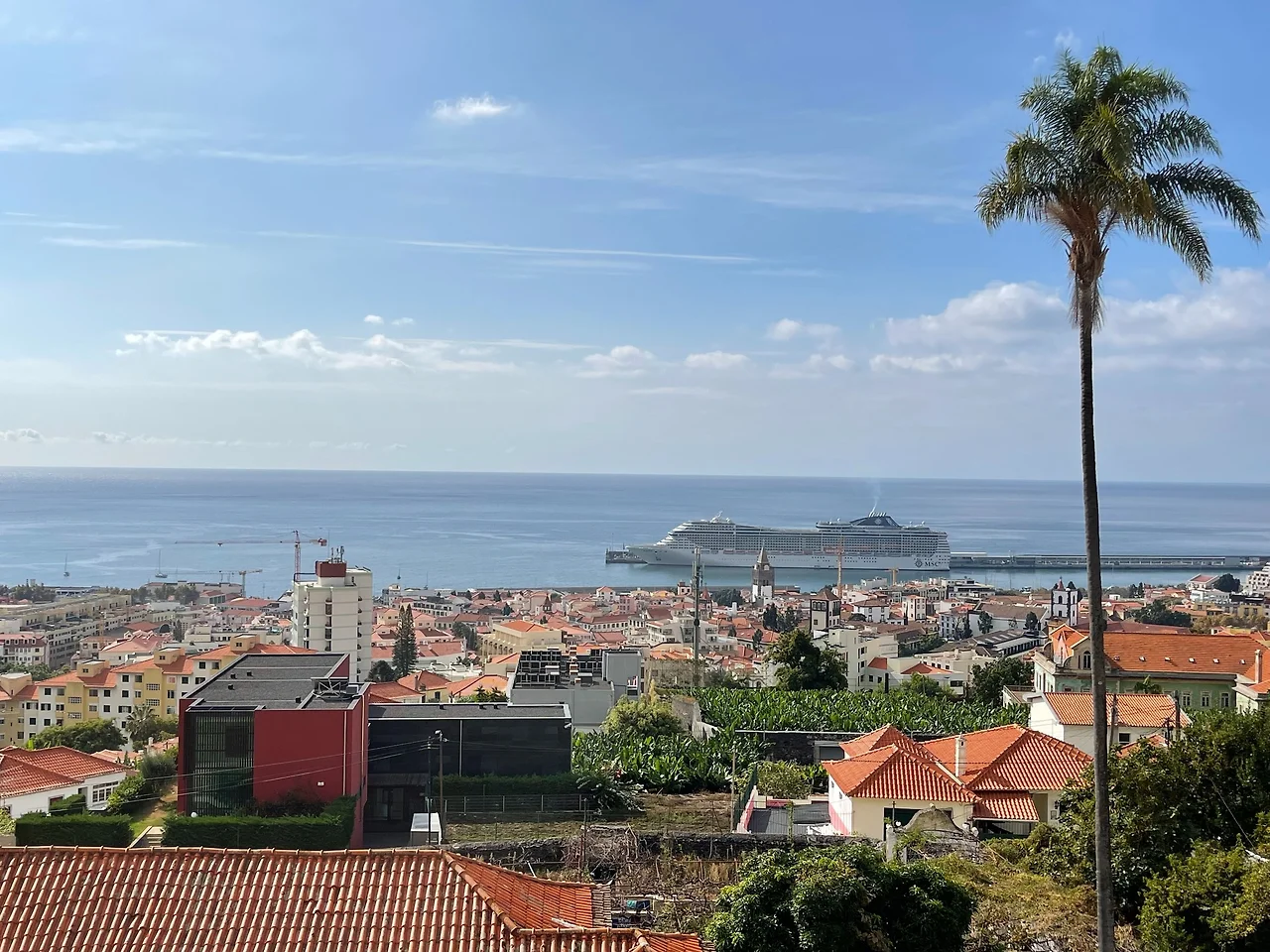 funchal.jpeg