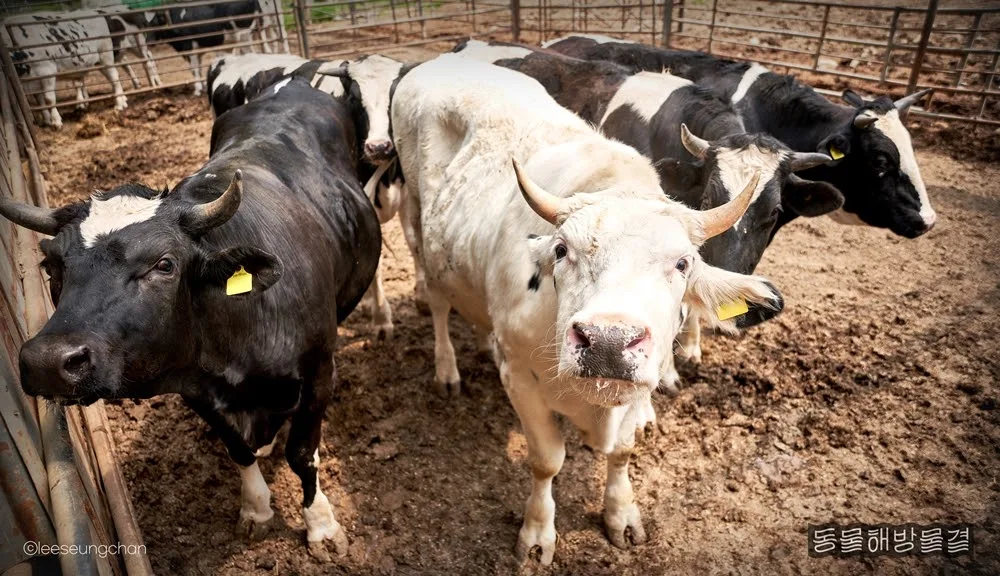 SKcb2d688dwdpVCT35kGBvPj2bSFwqcn5zbr8Tqf27YIGsic3L0JbUjB7V5YgogjglL_F9S4uNZjeXh4hTGEf_CpErtU8Rq1L6J8IRj4sfgRFiDX1Gcdz-IP3xO55LPDB6GVOQYD