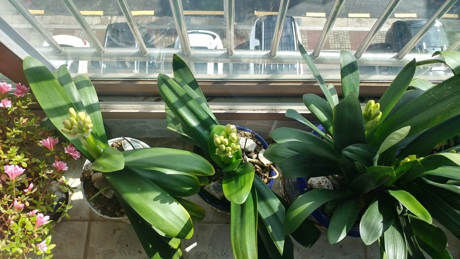 20210302_115547_HDR.jpg?type=w1