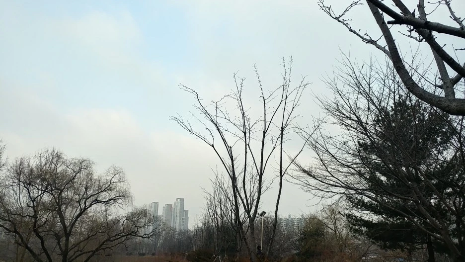 20210220_082920_HDR.jpg?type=w1