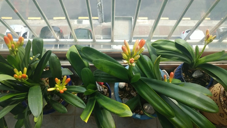 20210309_115642.jpg?type=w1