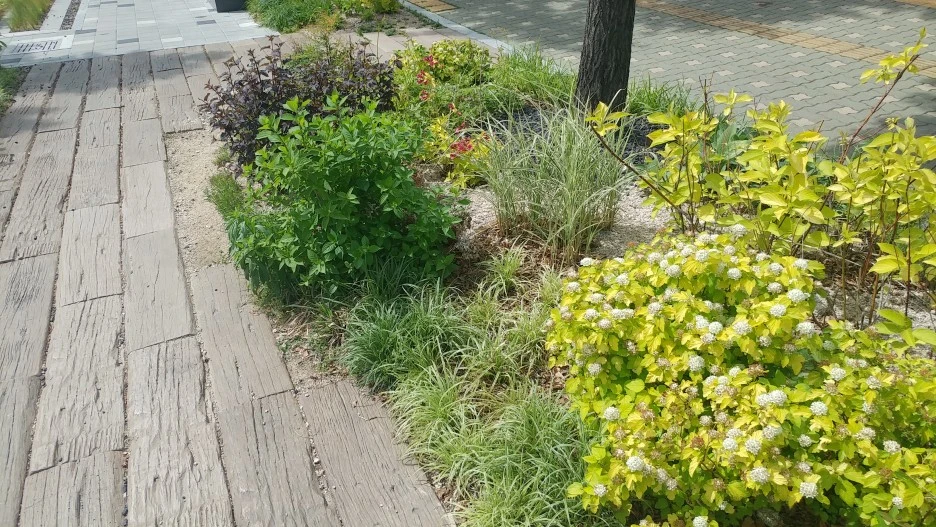 20210511_144525.jpg?type=w1