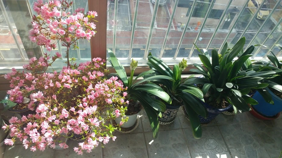 20210302_115448.jpg?type=w1