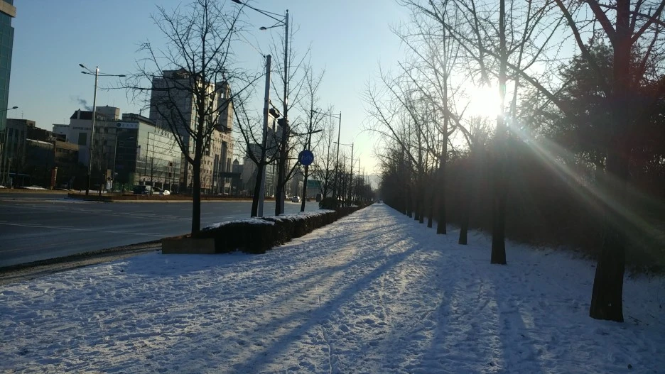 20210109_090538.jpg?type=w1