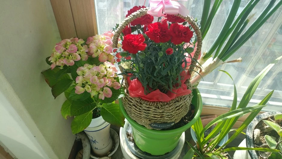 20210509_075625.jpg?type=w1