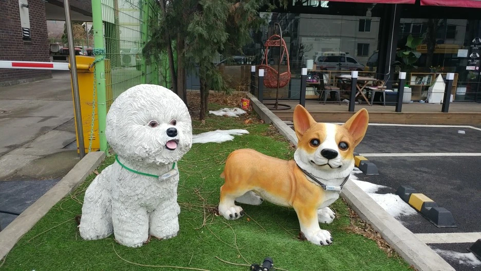 20210206_085137.jpg?type=w1