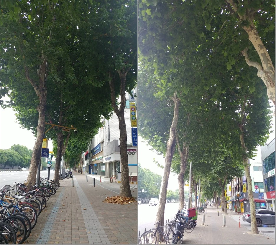 20210801_080559-horz.jpg?type=w1