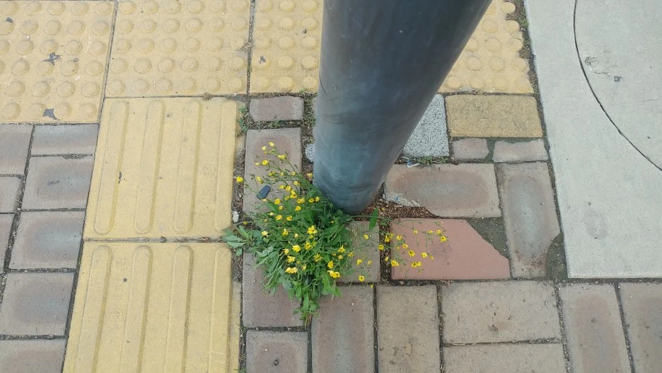 20210508_081700.jpg?type=w1