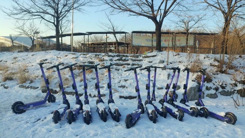 20210109_084805.jpg?type=w1