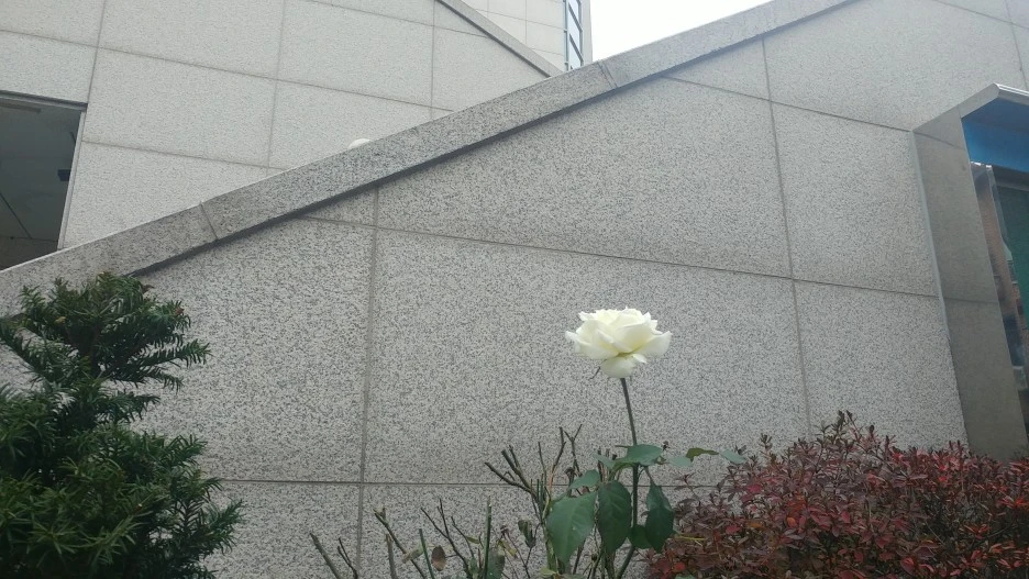 20211121_0901151.jpg?type=w1