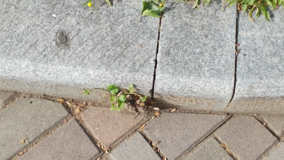 20210508_081518.jpg?type=w1