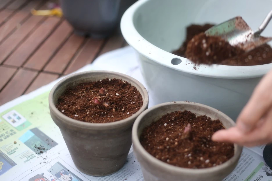 IMG_9031.JPG?type=w1