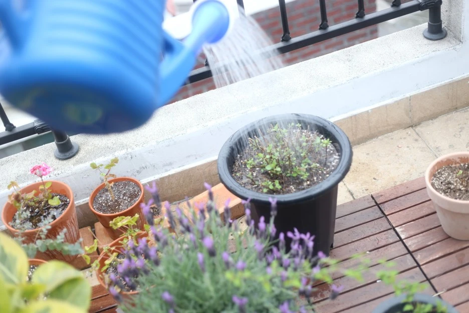 IMG_9058.JPG?type=w1