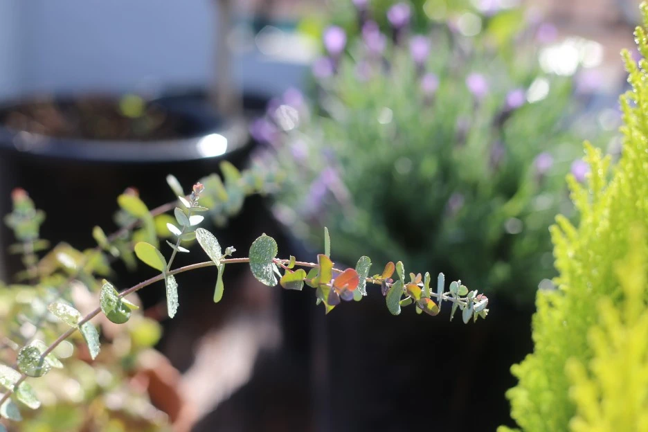 IMG_8923.JPG?type=w1