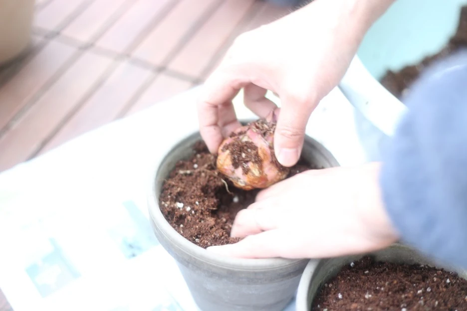 IMG_9027.JPG?type=w1