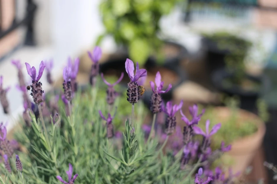 IMG_92051.JPG?type=w1