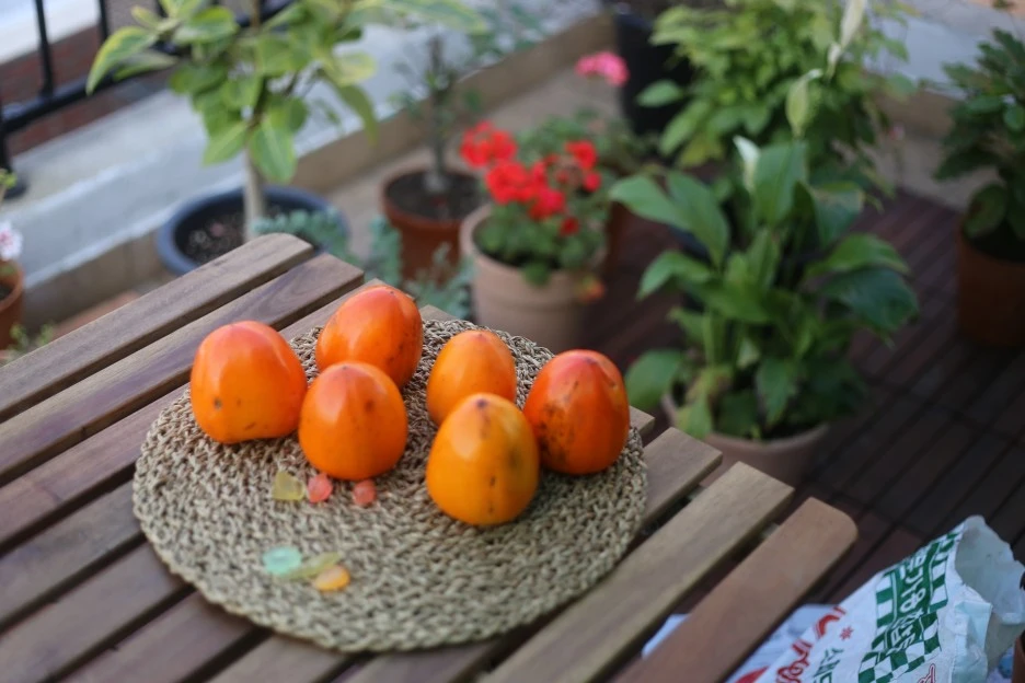 IMG_8402.JPG?type=w1