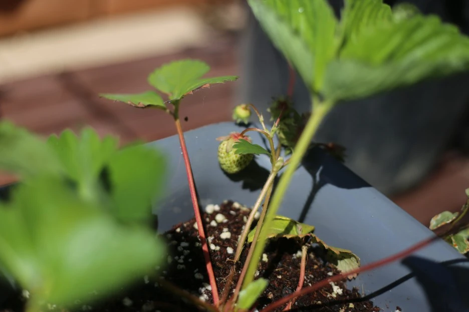 IMG_9220.JPG?type=w1