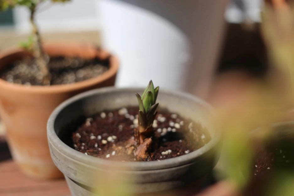 IMG_9218.JPG?type=w1